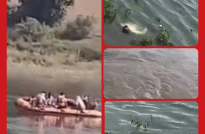 पुलिस को देखकर लाश ने लगाई दौड़... दहशत में आ गए राहगीर , ऐसे हुआ खुलासा 1 Screenshot 20250908 091018.Gallery