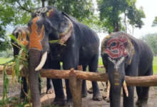 Screenshot 20250908 120825.WhatsApp