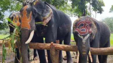 Screenshot 20250908 120825.WhatsApp