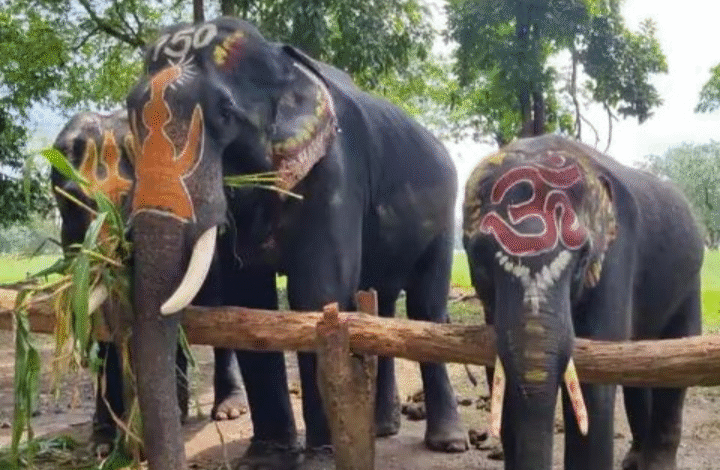 Screenshot 20250908 120825.WhatsApp