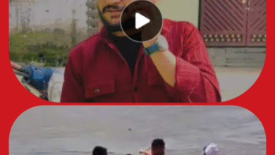 Screenshot 20250908 122518.Gallery