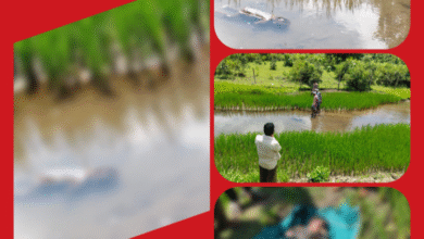 नाले मे डूबने से ढाई वर्षीय बच्ची की मौत : क्षेत्र में पसरा मातम, पुलिस जांच में जुटी 7 Screenshot 20250908 140558.Gallery