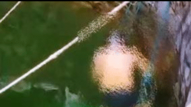 Screenshot 20250909 114339.WhatsApp