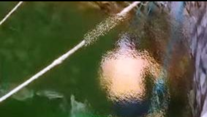 Screenshot 20250909 114339.WhatsApp