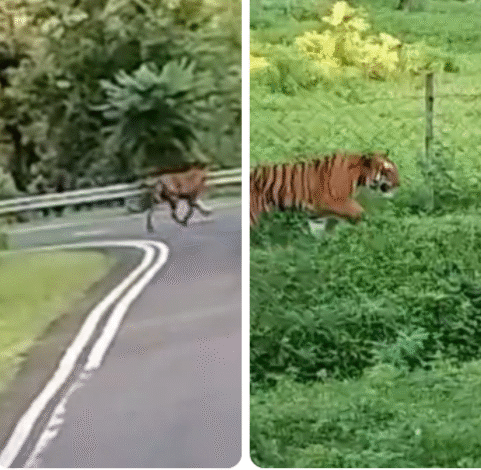 Screenshot 20250910 125641.WhatsApp