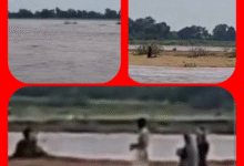 Screenshot 20250911 113222.Gallery