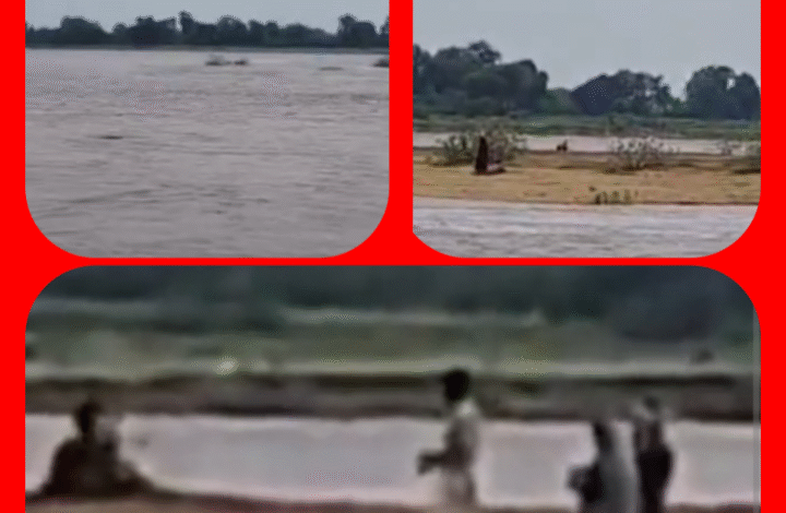 Screenshot 20250911 113222.Gallery