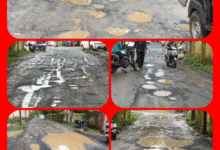 Screenshot 20250912 115350.Gallery