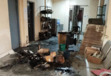 Screenshot 20250912 140738.WhatsApp