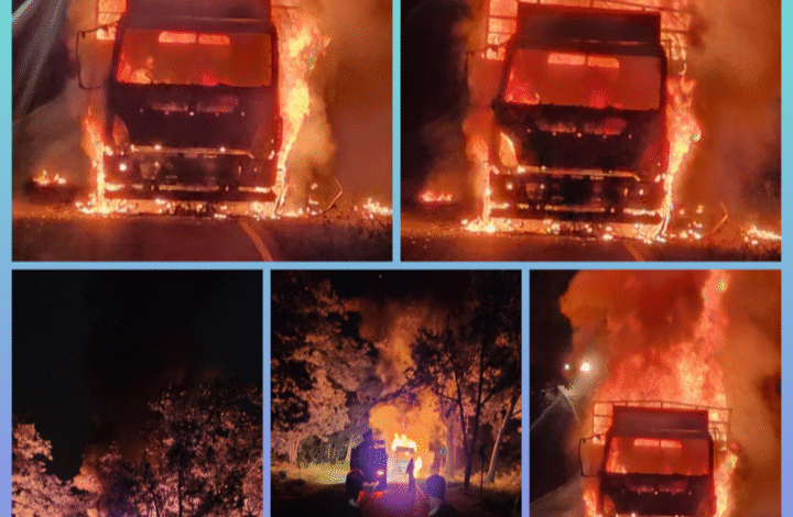 Screenshot 20250913 082945.Gallery