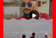 Screenshot 20250913 161658.Gallery