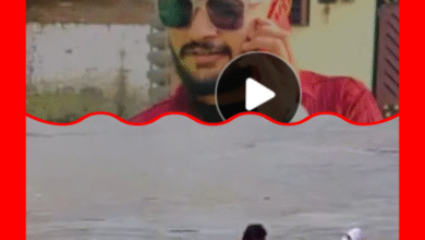 Screenshot 20250913 161658.Gallery