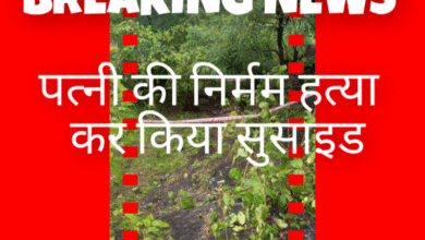 Screenshot 20250914 184553.Gallery