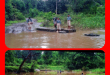 Screenshot 20250916 160252.Gallery