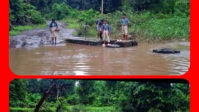 Screenshot 20250916 160252.Gallery