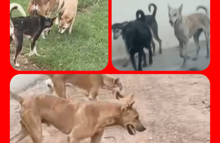 Screenshot 20250916 222442.Gallery