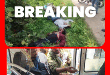 Screenshot 20250917 164737.Gallery