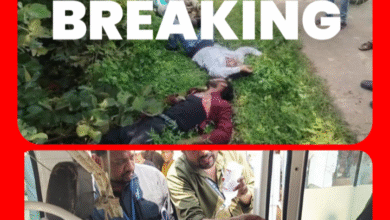 Screenshot 20250917 164737.Gallery