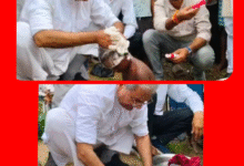 Screenshot 20250918 103013.Gallery