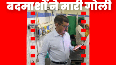 Screenshot 20250919 094657.Gallery