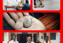 Screenshot 20250920 090320.Gallery