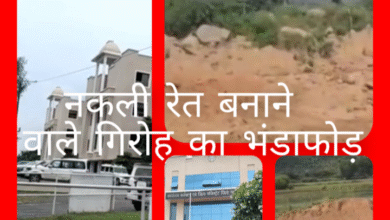 Screenshot 20250921 094209.Gallery