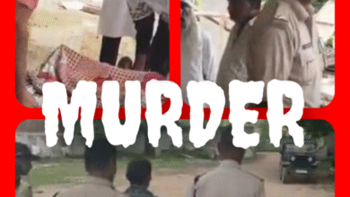 Screenshot 20250921 150823.Gallery