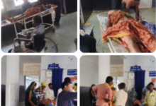 Screenshot 20250921 211048.WhatsApp