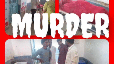 Screenshot 20250922 124734.Gallery