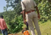 Screenshot 20250923 143658.WhatsApp