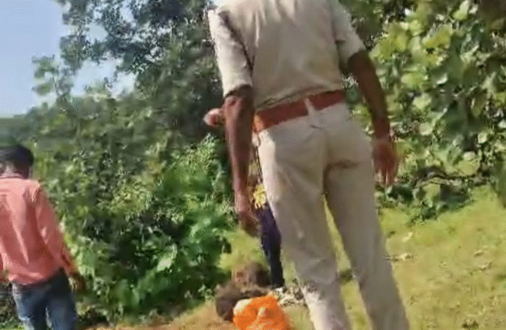 Screenshot 20250923 143658.WhatsApp