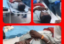 Screenshot 20250923 183229.Gallery