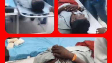 Screenshot 20250923 183229.Gallery