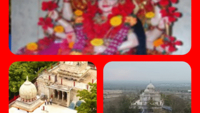 Screenshot 20250925 133055.Gallery