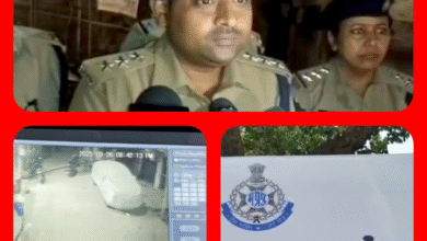 Screenshot 20250928 091008.Gallery