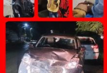 Screenshot 20250929 124754.Gallery