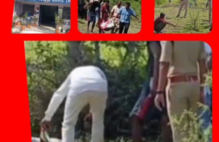 Screenshot 20250930 105120.Gallery