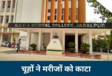 मेडिकल कॉलेज में चूहों की लापरवाही: एचएलएल इंफ्रा टेक पर 50 हजार रुपये का जुर्माना* 12 Untitled 2 copy 12