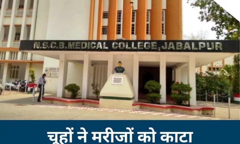 मेडिकल कॉलेज में चूहों की लापरवाही: एचएलएल इंफ्रा टेक पर 50 हजार रुपये का जुर्माना* 1 Untitled 2 copy 12