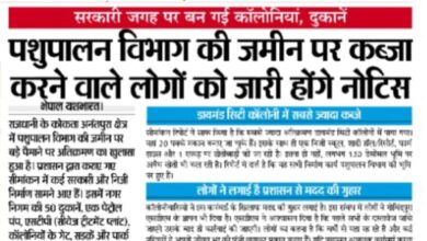 WhatsApp Image 2025 09 08 at 14.13.21 2