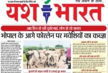 WhatsApp Image 2025 09 13 at 15.57.27