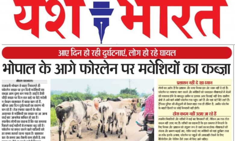 WhatsApp Image 2025 09 13 at 15.57.27