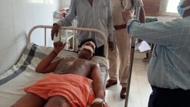 WhatsApp Image 2025 09 15 at 1.42.35 PM