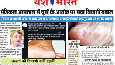 WhatsApp Image 2025 09 16 at 2.09.12 PM