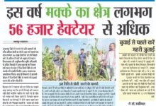 इस वर्ष मक्के का क्षेत्र लगभग 56 हजार हेक्टेयर से अधिक 11 WhatsApp Image 2025 09 19 at 1.56.00 PM
