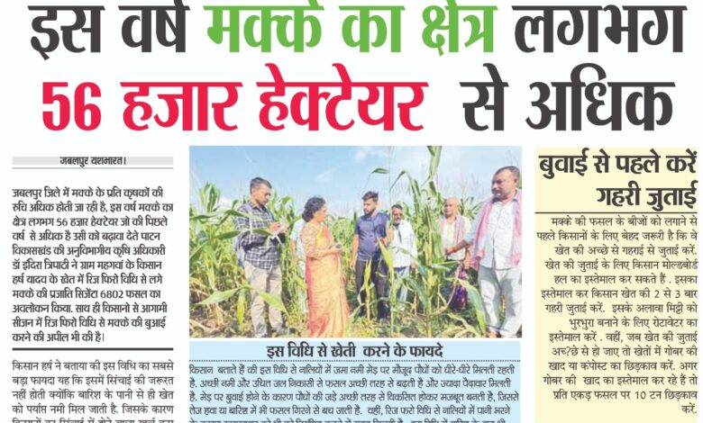 WhatsApp Image 2025 09 19 at 1.56.00 PM