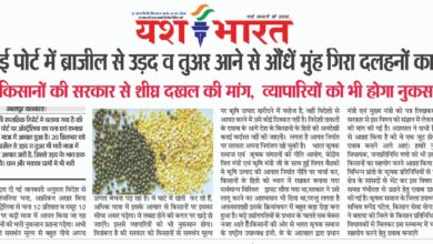 WhatsApp Image 2025 09 25 at 14.08.40 1