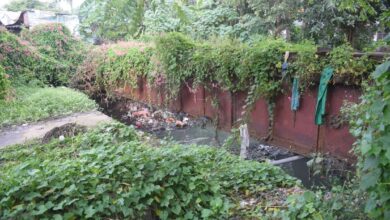 WhatsApp Image 2025 09 29 at 2.28.48 PM