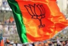 भाजपा के एक दर्जन से ज्यादा जिलों में कार्यकारिणी के गठन का इंतजार 9 download 94