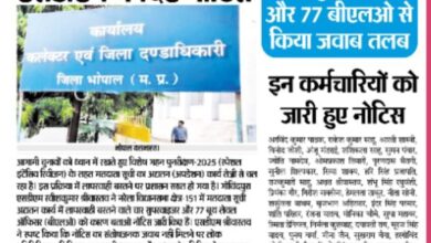 fd8d4ef5 93d5 4c21 9077 2d939d9f959a